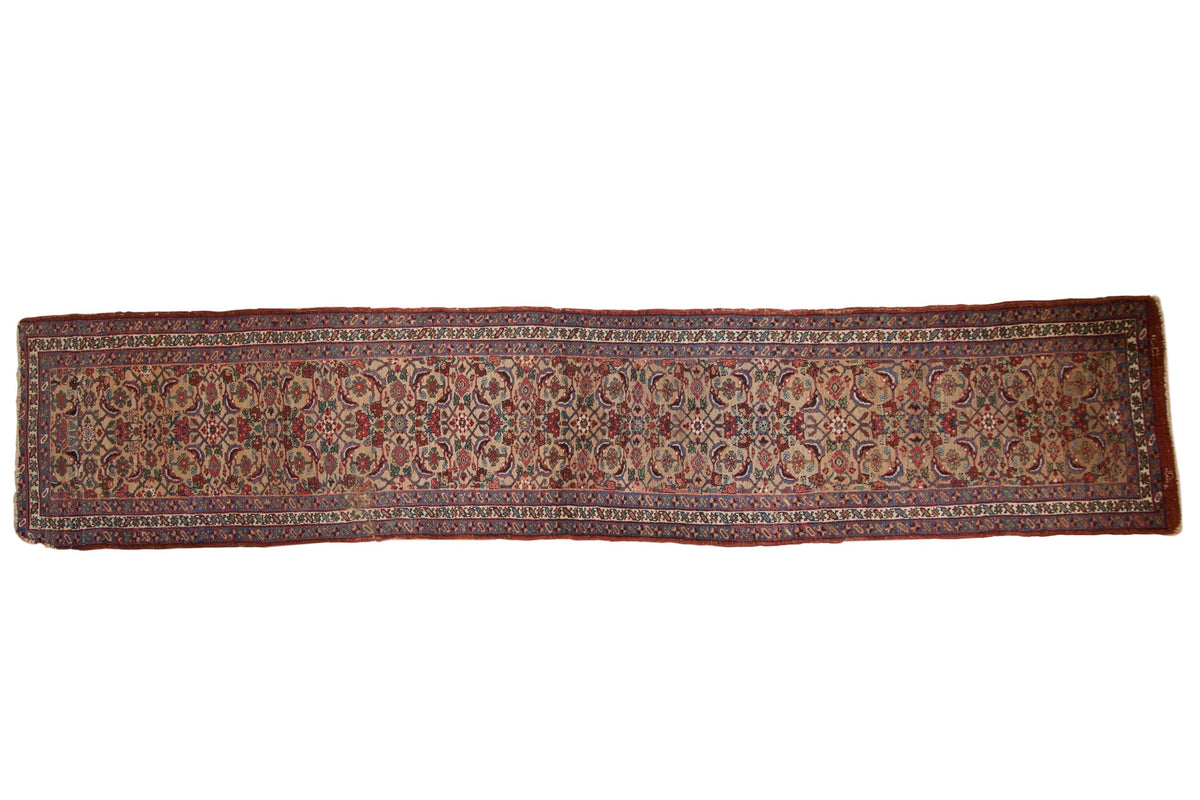 3x14.5 Antique Bijar Rug Runner by Old New House® - main product image for Resin Society