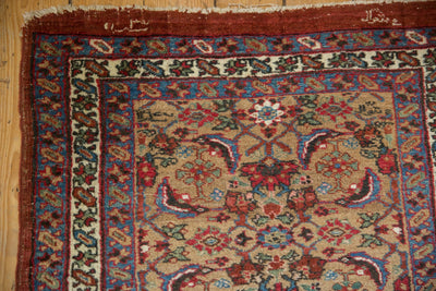 3x14.5 Antique Bijar Rug Runner by Old New House® - product image 9 for Resin Society