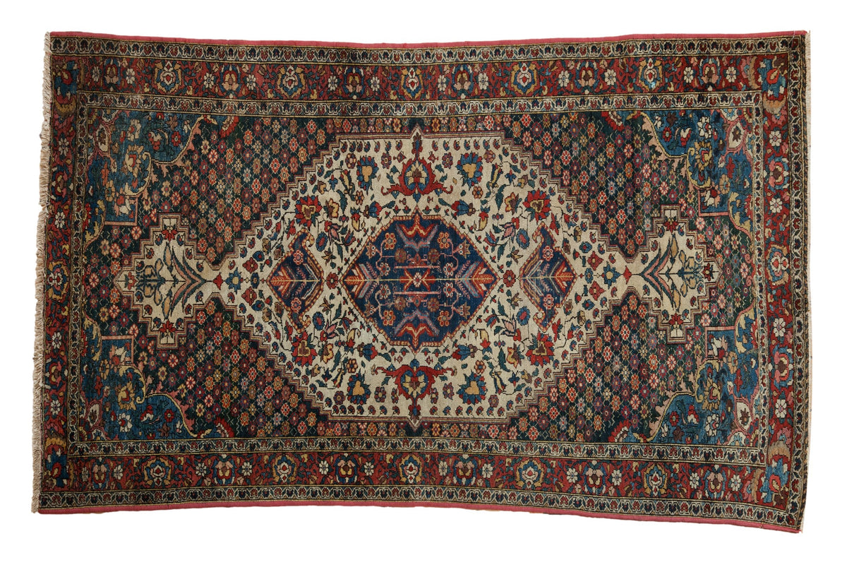 4.5x6.5 Vintage Baktiari Rug by Old New House® - main product image for Resin Society