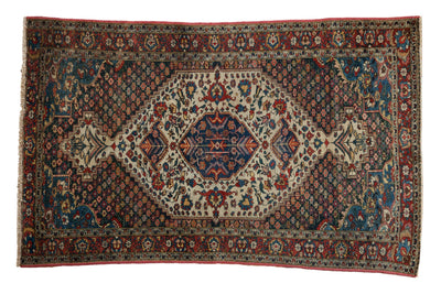 4.5x6.5 Vintage Baktiari Rug by Old New House® - main product image for Resin Society