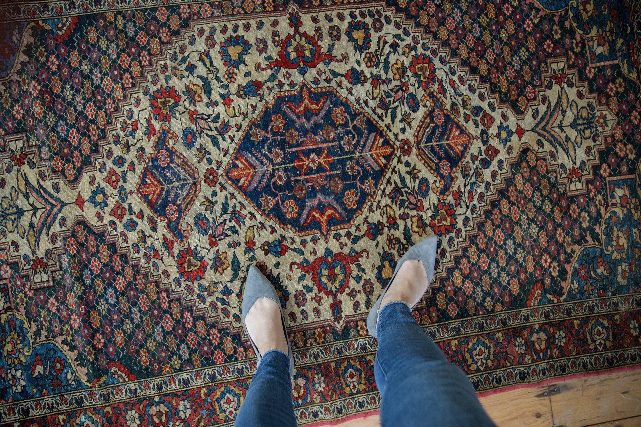 4.5x6.5 Vintage Baktiari Rug by Old New House® - product image 2 for Resin Society