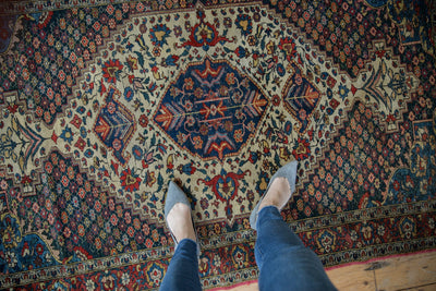 4.5x6.5 Vintage Baktiari Rug by Old New House® - product image 2 for Resin Society