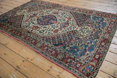4.5x6.5 Vintage Baktiari Rug by Old New House® - product image 3 for Resin Society