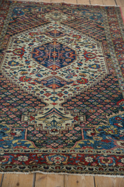4.5x6.5 Vintage Baktiari Rug by Old New House® - product image 4 for Resin Society