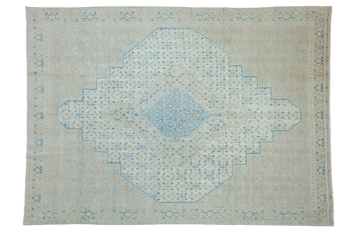 7x9.5 Vintage Distressed Birjand Carpet by Old New House® - main product image for Resin Society