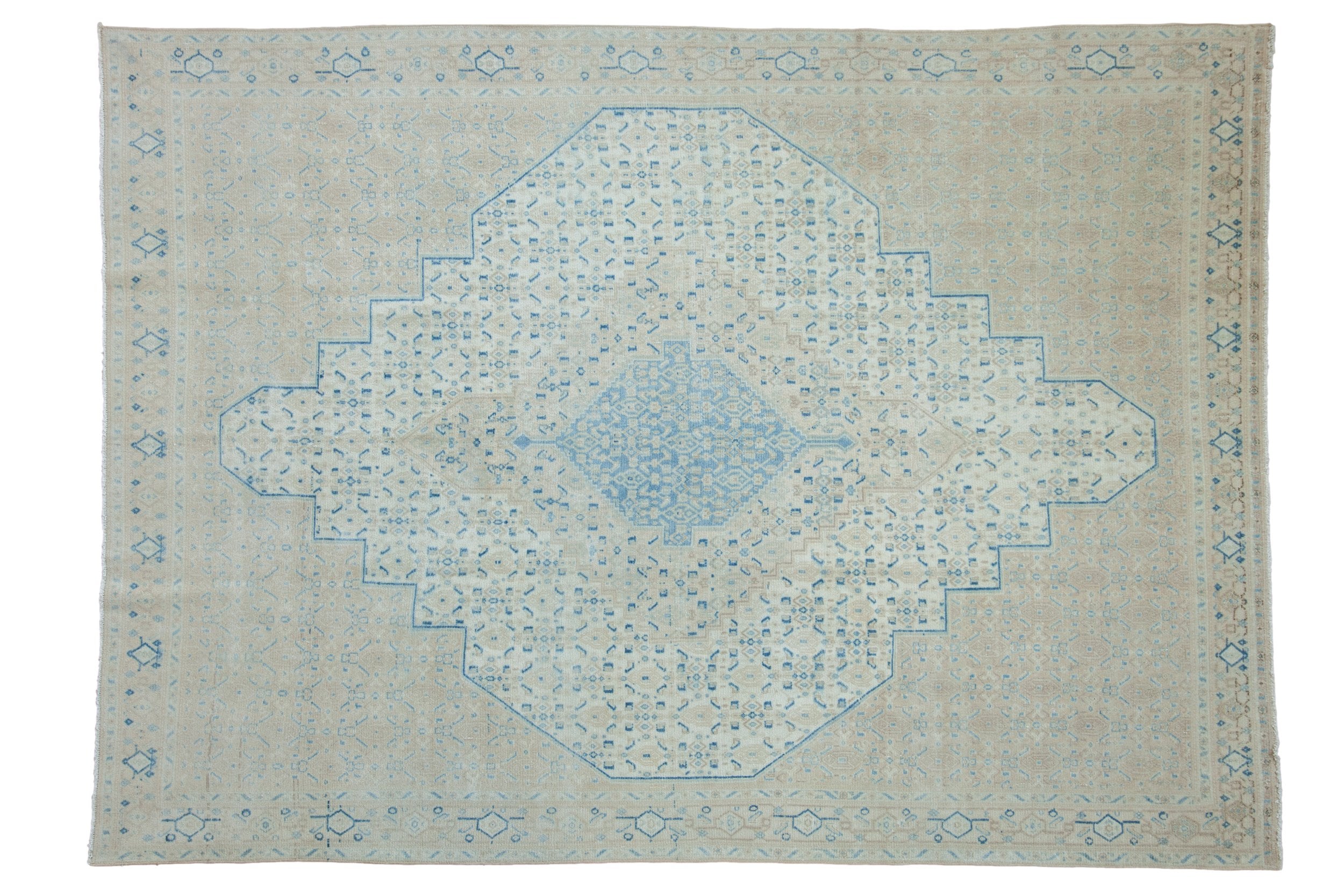 7x9.5 Vintage Distressed Birjand Carpet by Old New House® - main product image for Resin Society