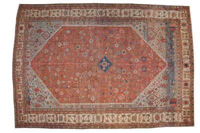 11.5x16.5 Antique Bakshaish Carpet by Old New House® - main product image for Resin Society