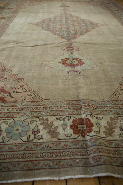 8x12 Vintage Distressed Tabriz Carpet by Old New House® - product image 6 for Resin Society