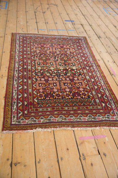 3x5 Vintage Belouch Rug by Old New House® - product image 4 for Resin Society