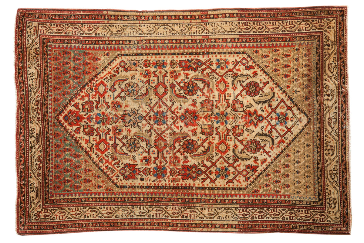 3.5x5 Vintage Distressed Serbend Rug by Old New House® - main product image for Resin Society