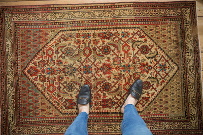 3.5x5 Vintage Distressed Serbend Rug by Old New House® - product image 2 for Resin Society