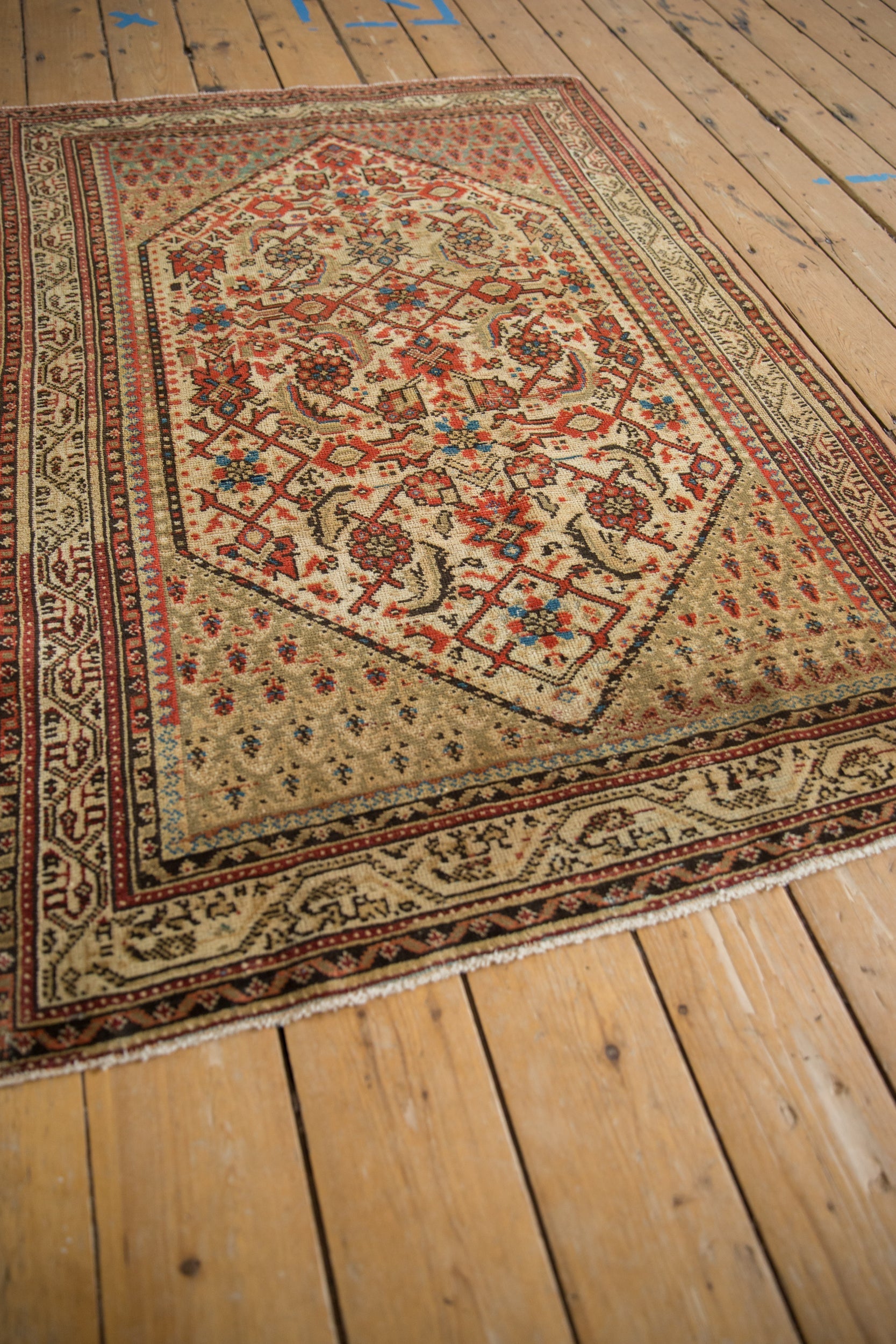 3.5x5 Vintage Distressed Serbend Rug by Old New House® - product image 3 for Resin Society