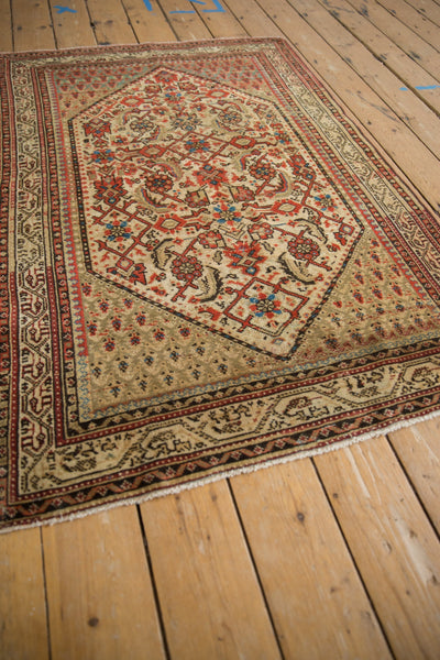 3.5x5 Vintage Distressed Serbend Rug by Old New House® - product image 3 for Resin Society