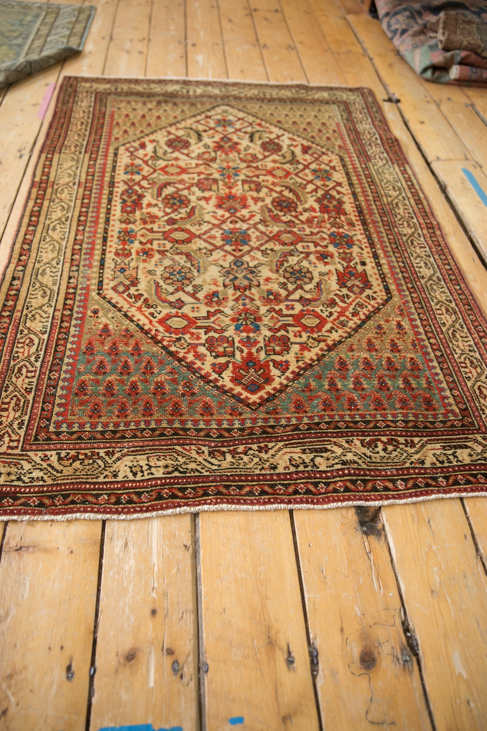 3.5x5 Vintage Distressed Serbend Rug by Old New House® - product image 6 for Resin Society