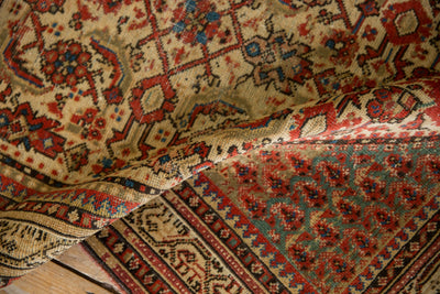 3.5x5 Vintage Distressed Serbend Rug by Old New House® - product image 8 for Resin Society