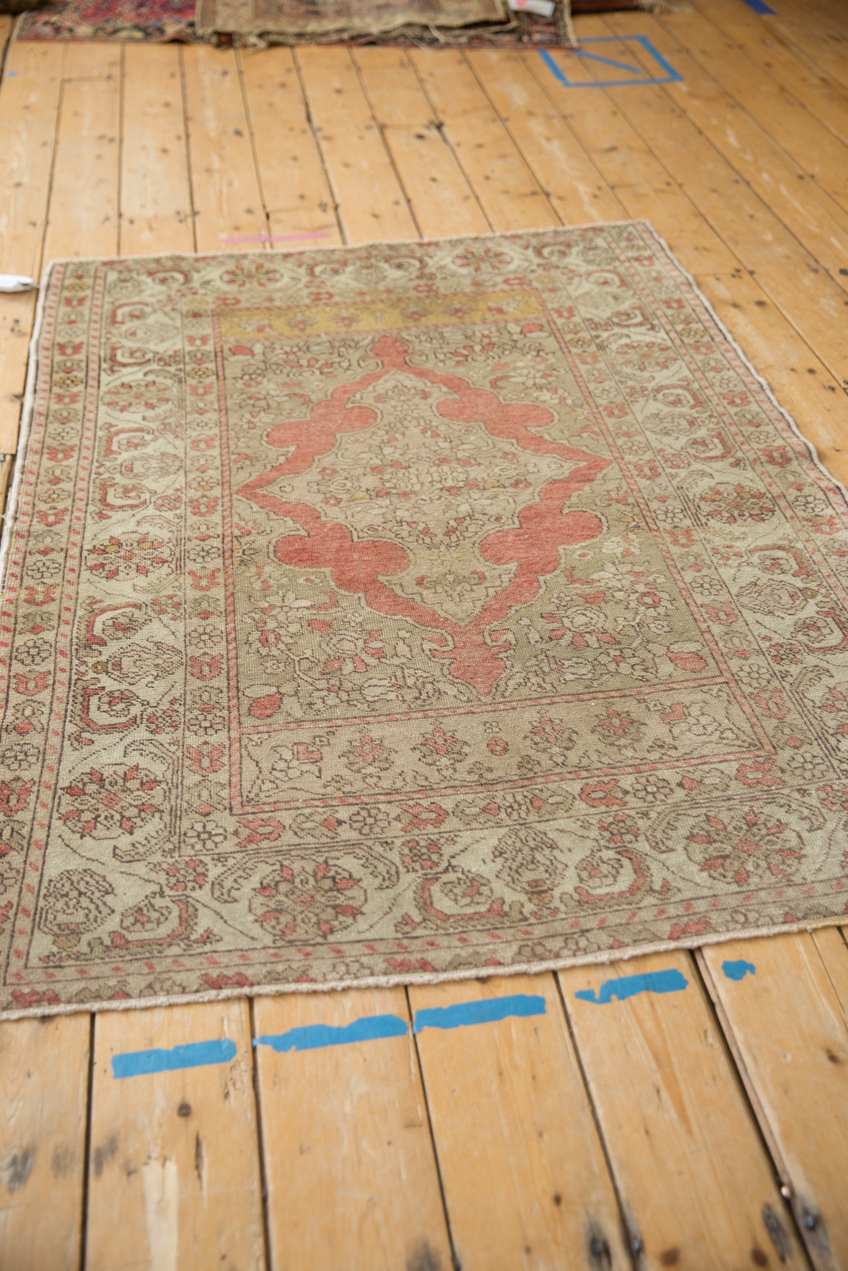 4x5.5 Vintage Distressed Kayseri Rug by Old New House® - product image 7 for Resin Society