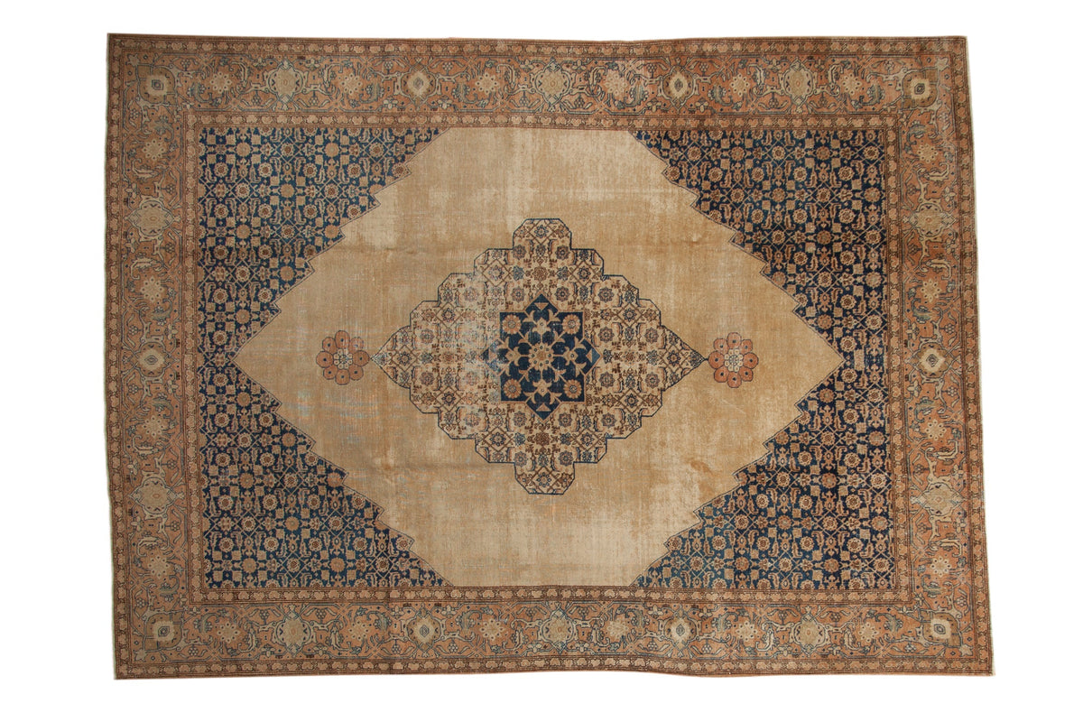 8.5x11 Vintage Distressed Tabriz Carpet by Old New House® - main product image for Resin Society