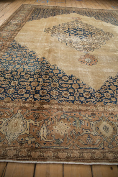 8.5x11 Vintage Distressed Tabriz Carpet by Old New House® - product image 7 for Resin Society