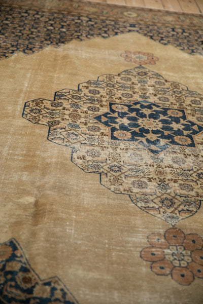 8.5x11 Vintage Distressed Tabriz Carpet by Old New House® - product image 8 for Resin Society