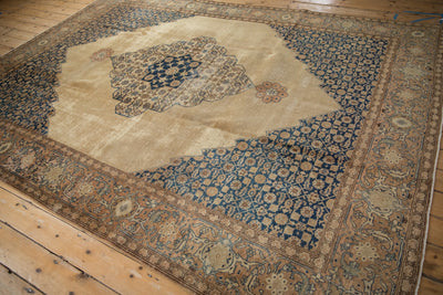 8.5x11 Vintage Distressed Tabriz Carpet by Old New House® - product image 9 for Resin Society