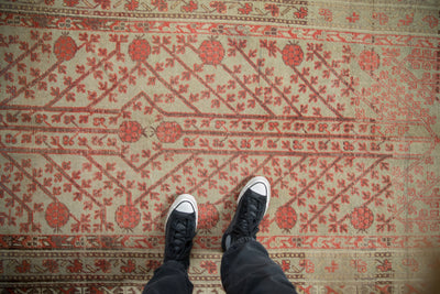 4.5x8.5 Antique Distressed Khotan Rug by Old New House® - product image 2 for Resin Society