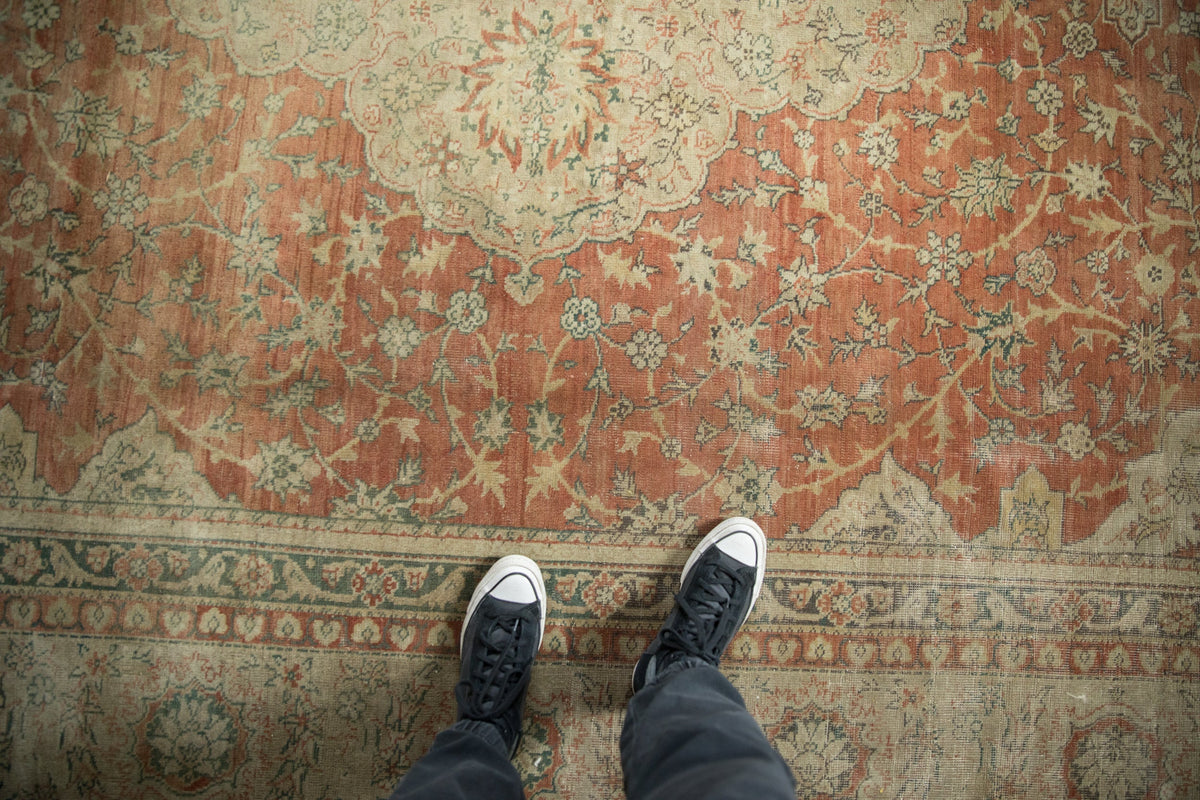 9.5x12.5 Vintage Distressed Tea Washed Kayseri Carpet by Old New House® - product image 2 for Resin Society