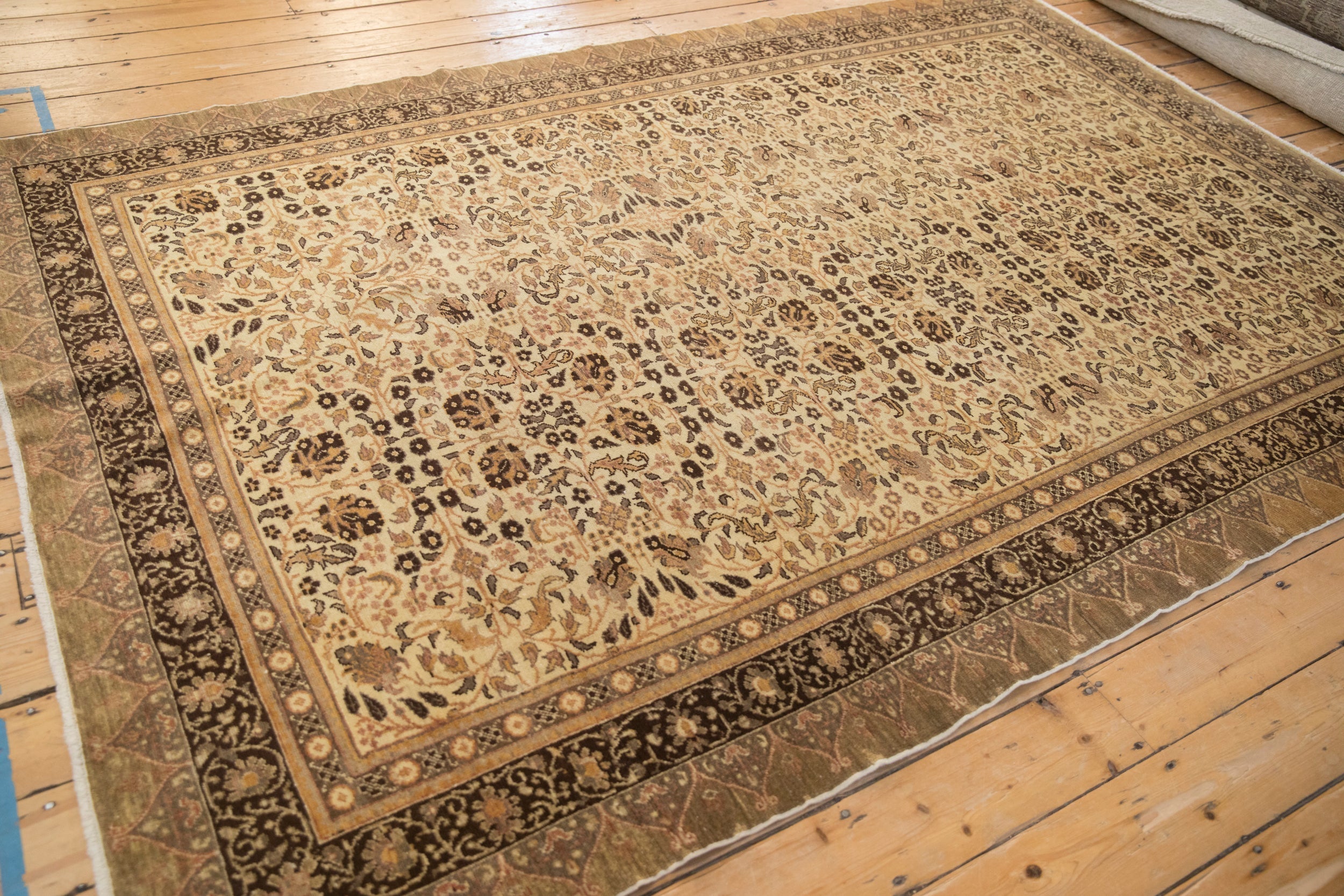 6.5x9.5 Vintage Kaisary Carpet by Old New House® - product image 8 for Resin Society
