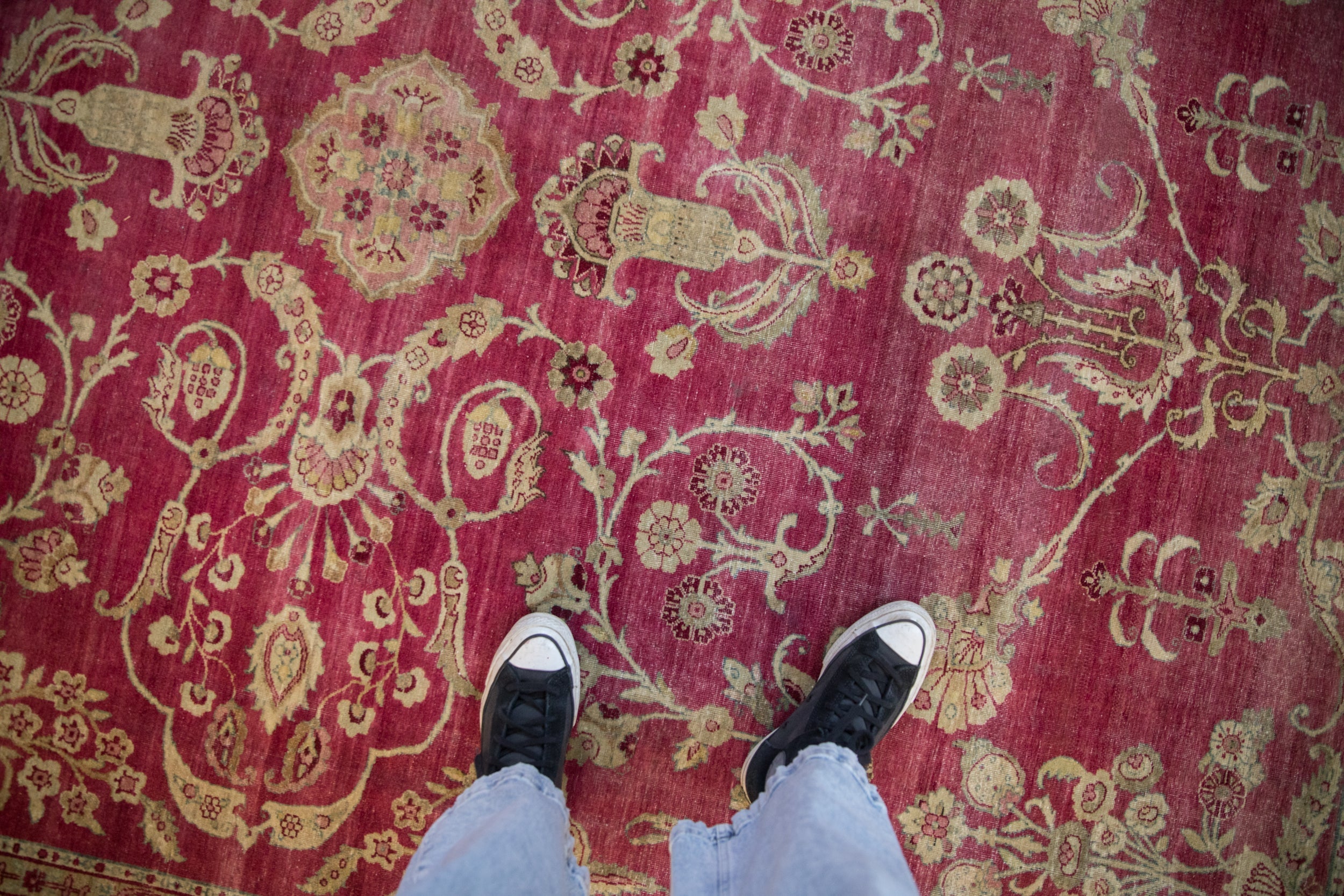 8.5x11.5 Antique Distressed Yezd Carpet by Old New House® - product image 2 for Resin Society
