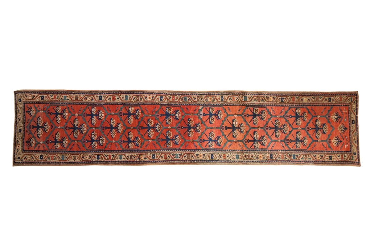 3x14.5 Antique Northwest Persian Rug Runner by Old New House® - main product image for Resin Society