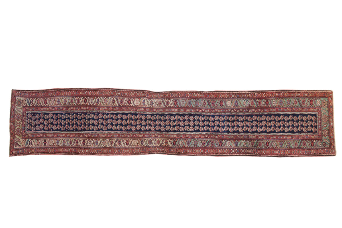 3x15 Antique Malayer Rug Runner by Old New House® - main product image for Resin Society