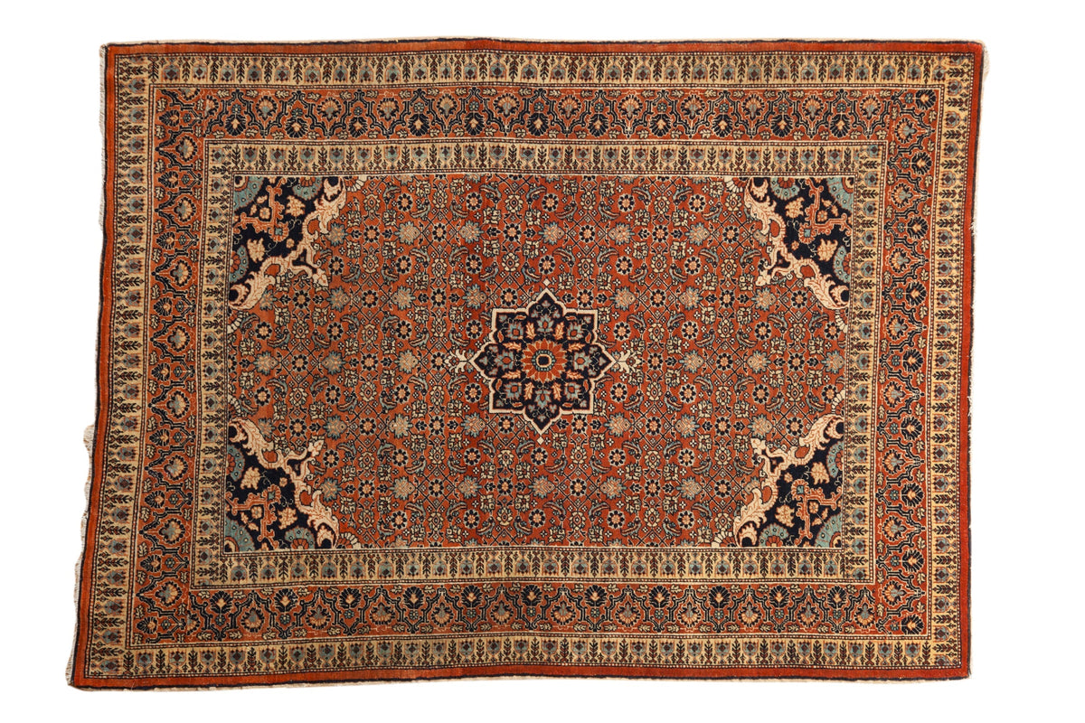 4x5.5 Antique Haji Jalili Tabriz Rug by Old New House® - main product image for Resin Society