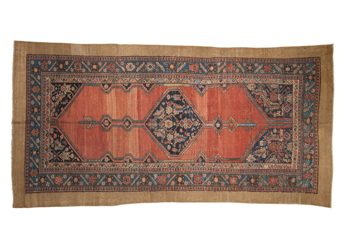 5.5x11 Antique Hamadan Rug Runner by Old New House® - main product image for Resin Society