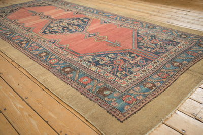 5.5x11 Antique Hamadan Rug Runner by Old New House® - product image 4 for Resin Society