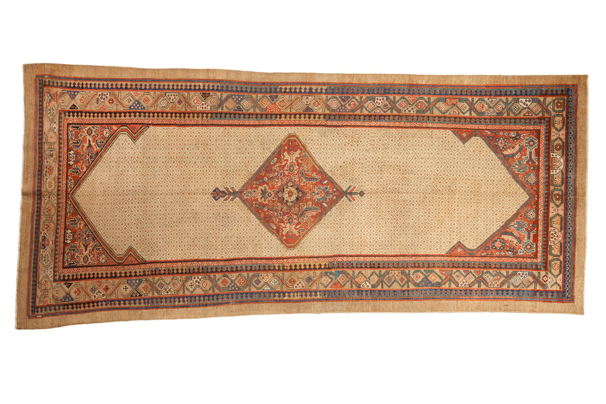 4.5x10 Antique Serab Rug Runner by Old New House® - main product image for Resin Society