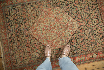 4x6 Antique Senneh Rug by Old New House® - product image 2 for Resin Society