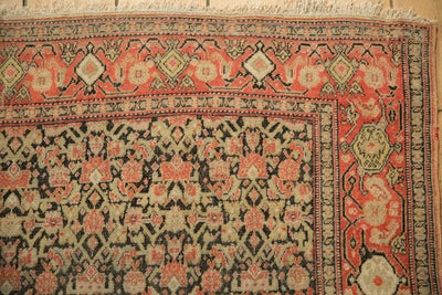 4x6 Antique Senneh Rug by Old New House® - product image 3 for Resin Society