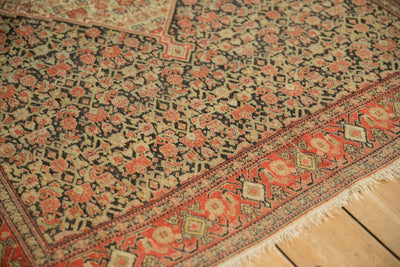 4x6 Antique Senneh Rug by Old New House® - product image 5 for Resin Society