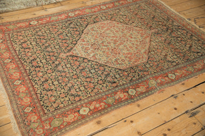 4x6 Antique Senneh Rug by Old New House® - product image 6 for Resin Society