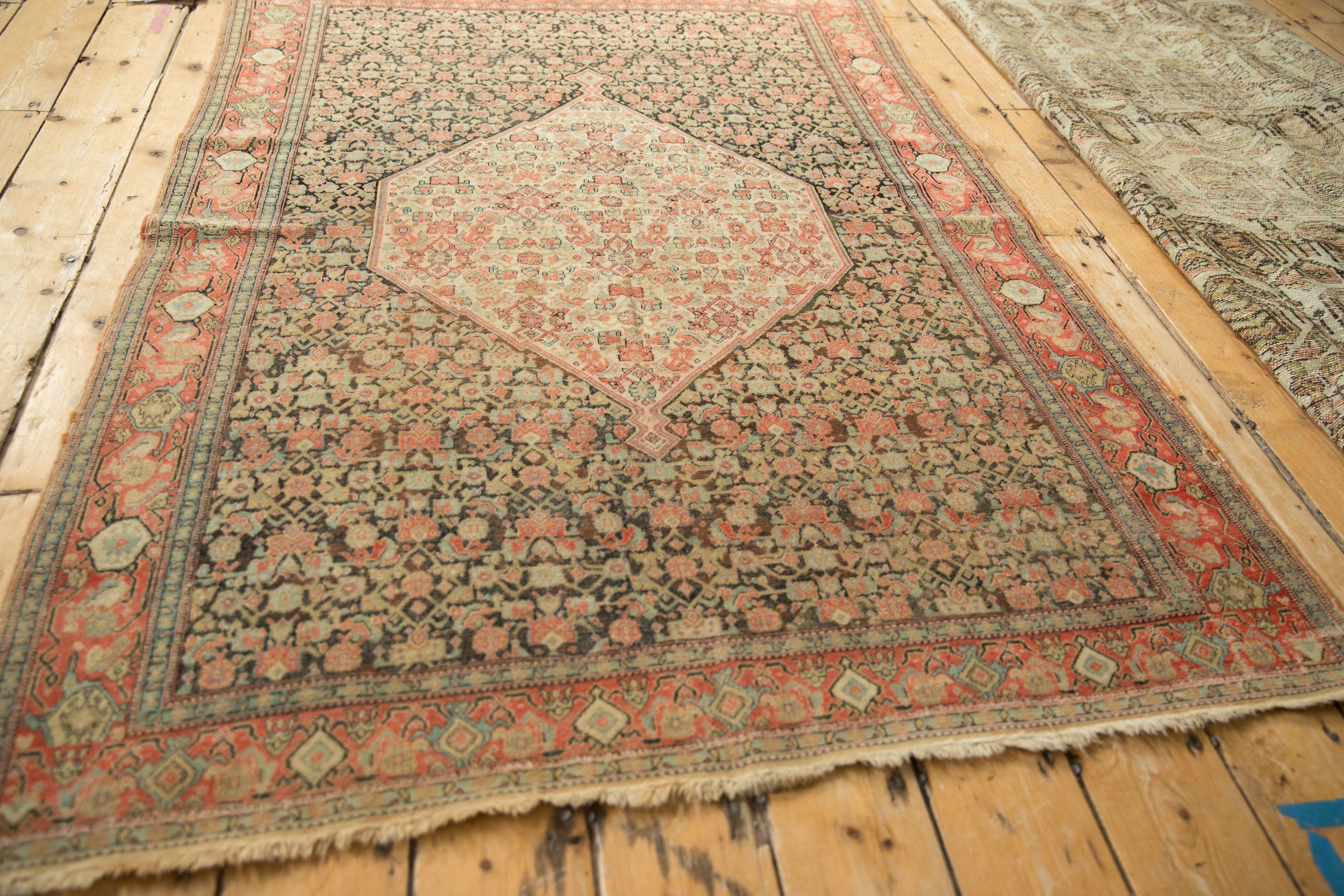 4x6 Antique Senneh Rug by Old New House® - product image 8 for Resin Society
