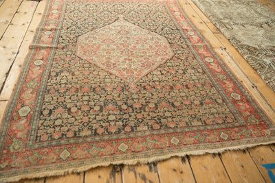 4x6 Antique Senneh Rug by Old New House® - product image 8 for Resin Society