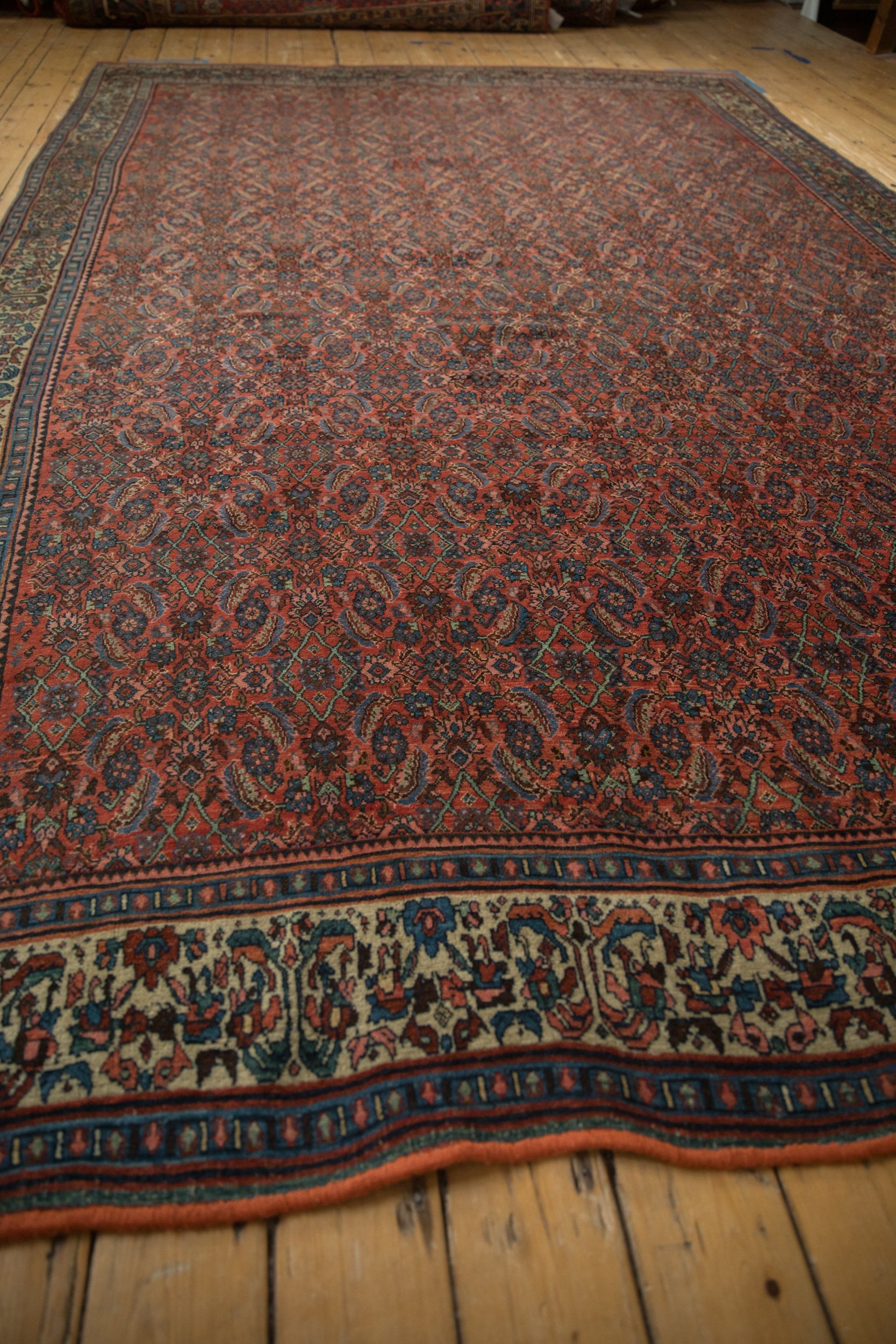 8x13 Vintage Fine Bijar Carpet by Old New House® - product image 8 for Resin Society