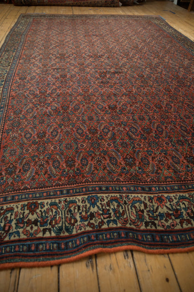 8x13 Vintage Fine Bijar Carpet by Old New House® - product image 8 for Resin Society