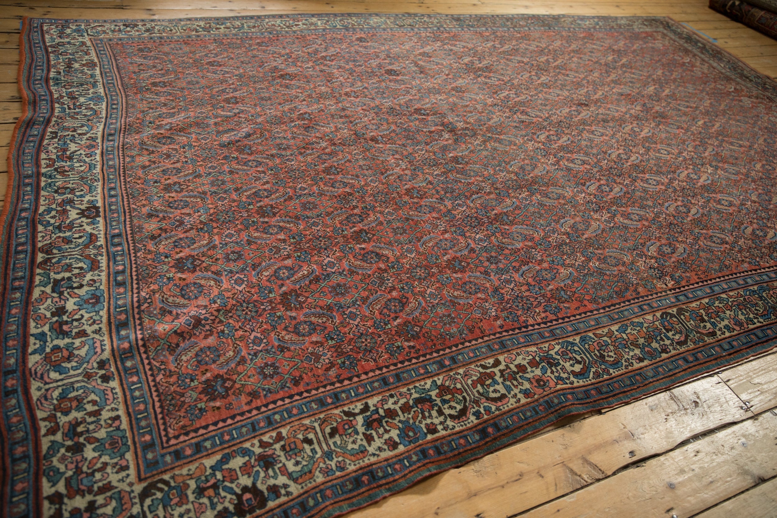 8x13 Vintage Fine Bijar Carpet by Old New House® - product image 11 for Resin Society