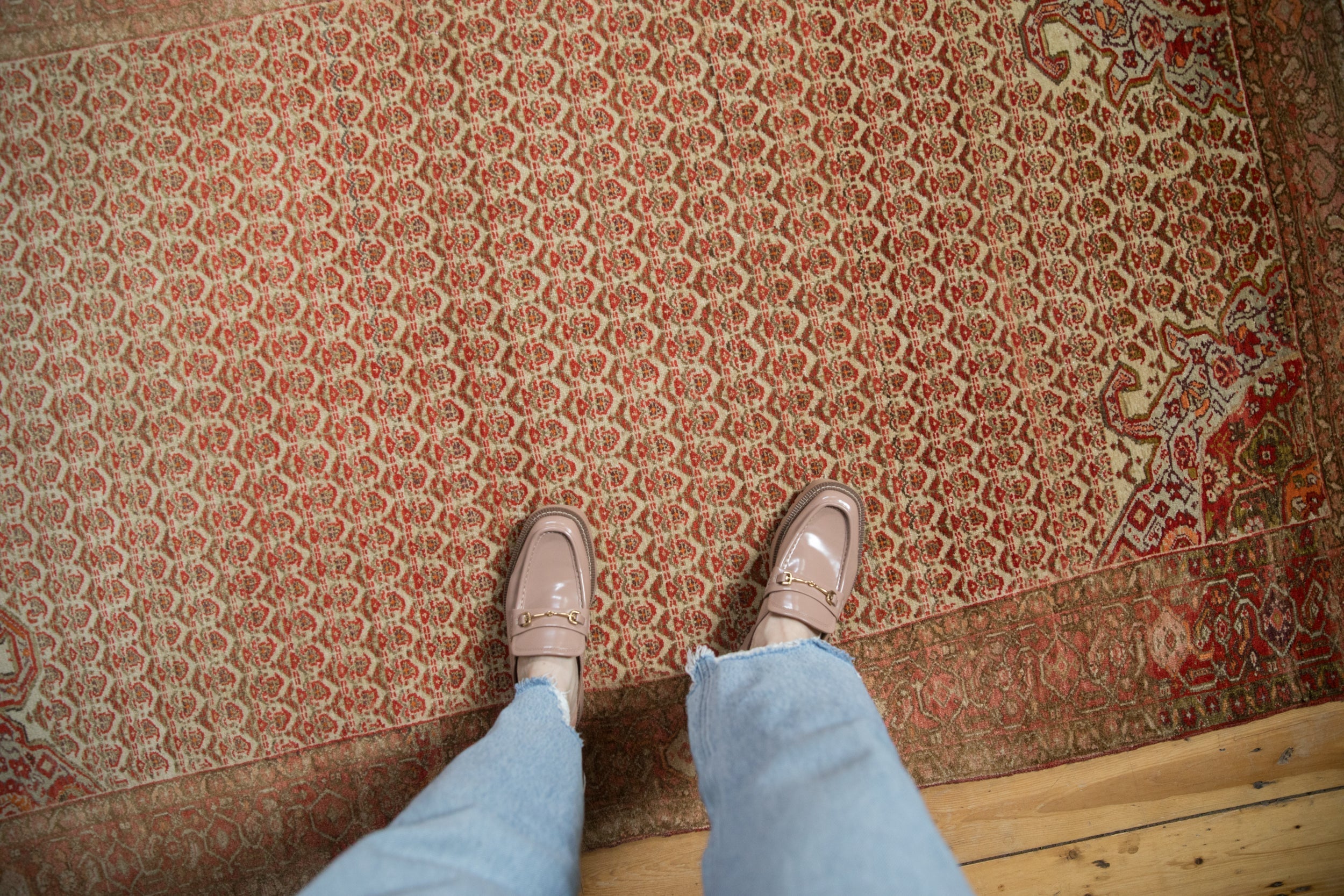 4x7 Vintage Distressed Malayer Rug by Old New House® - product image 2 for Resin Society