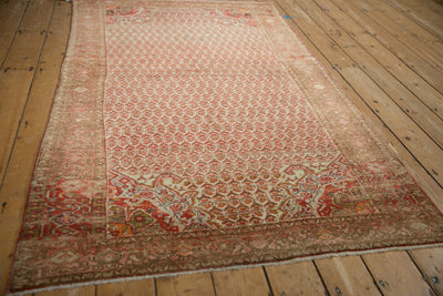 4x7 Vintage Distressed Malayer Rug by Old New House® - product image 4 for Resin Society