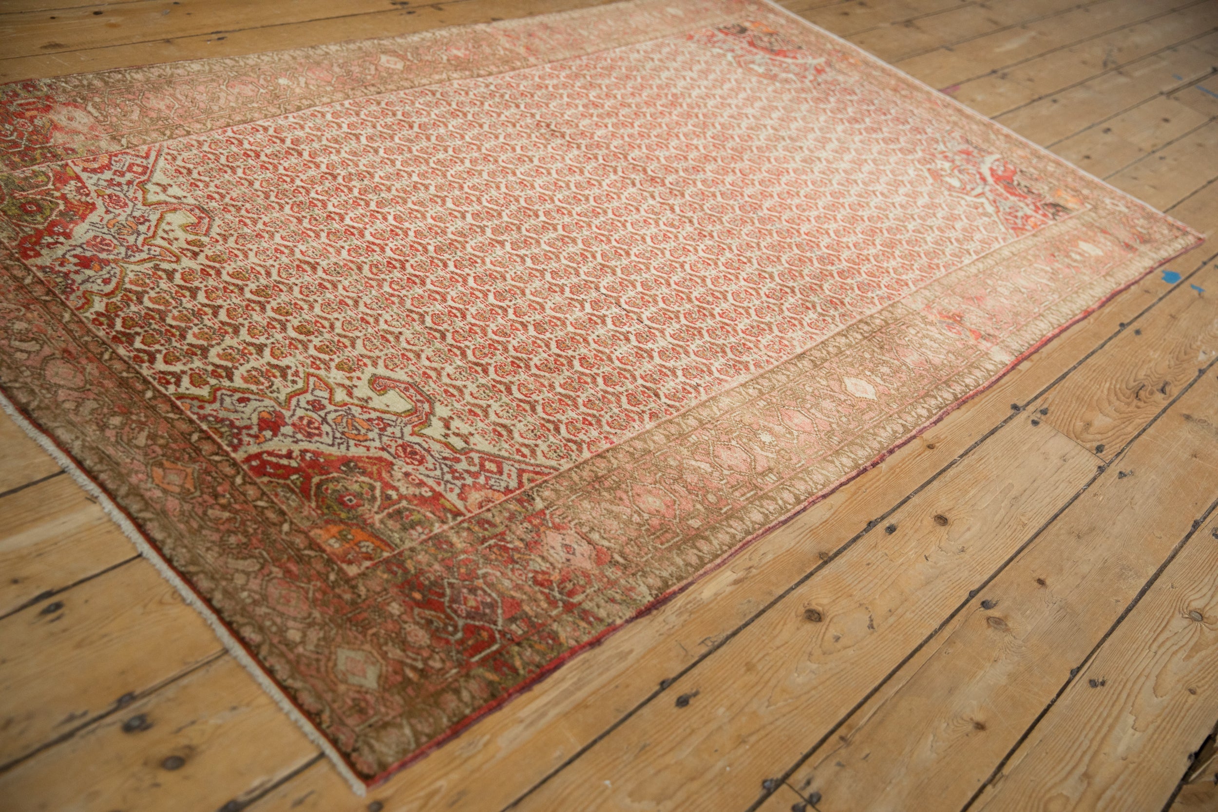 4x7 Vintage Distressed Malayer Rug by Old New House® - product image 6 for Resin Society