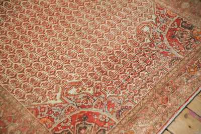 4x7 Vintage Distressed Malayer Rug by Old New House® - product image 8 for Resin Society