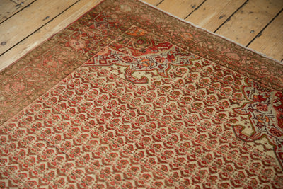 4x7 Vintage Distressed Malayer Rug by Old New House® - product image 10 for Resin Society