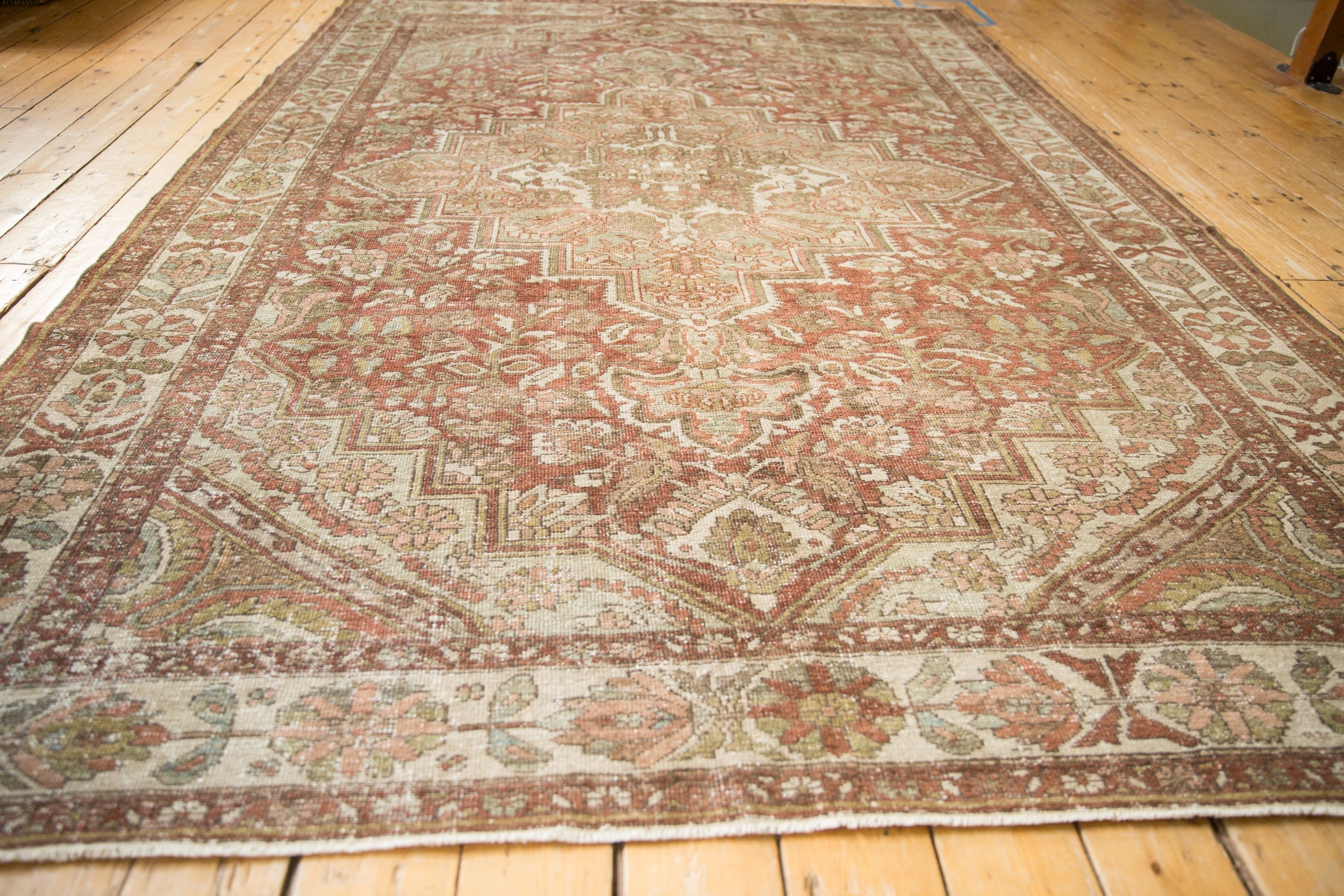 7x10 Vintage Distressed Baktiari Carpet by Old New House® - product image 8 for Resin Society