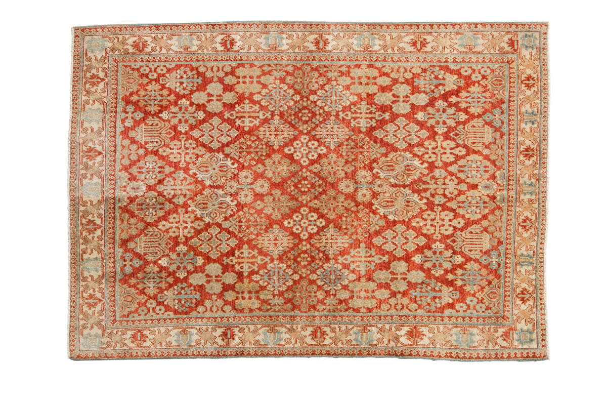 3.5x5 Vintage Distressed Joshegan Rug by Old New House® - main product image for Resin Society